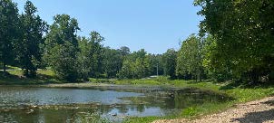 Westmoreland Lake